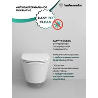 Унитаз подвесной Ambassador Ritz 233K19003RS - Превью изображения №8 — Интернет-магазин Time-Shop