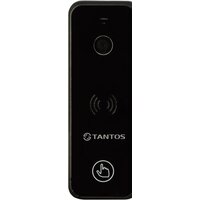 Tantos iPanel 2+ (черный)