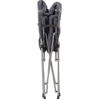 Кресло Trek Planet Argo Deluxe 70657 (серый) - Превью изображения №3 — Интернет-магазин Time-Shop