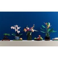 Конструктор LEGO Creator Expert 10311 Орхидея - Превью изображения №3 — Интернет-магазин Time-Shop