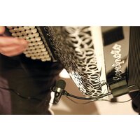 Комплект проводных микрофонов Prodipe AL21 Romanelli Accordion - Превью изображения №3 — Интернет-магазин Time-Shop
