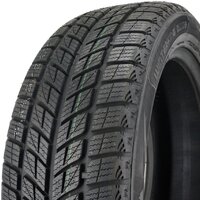 Зимние шины DoubleStar DW09 235/55R20 102H - Превью изображения №3 — Интернет-магазин Time-Shop