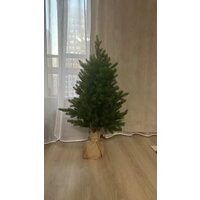 Ель National Tree Company Грация Премиум ГР/ПР-90 90 см - Превью изображения №13 — Интернет-магазин Time-Shop