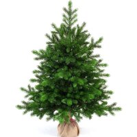 Новогодние елки