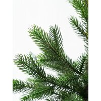 Ель National Tree Company Грация Премиум ГР/ПР-90 90 см - Превью изображения №5 — Интернет-магазин Time-Shop