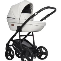 Riko Basic Aicon Ecco (2 в 1, 02)