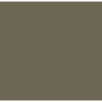 Falcon Eyes BackDrop 2.72x10 (хаки)