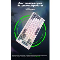 Клавиатура Royal Kludge RK-H81 RGB White Night (RK Cyan) - Превью изображения №15 — Интернет-магазин Time-Shop