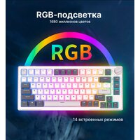 Клавиатура Royal Kludge RK-H81 RGB White Night (RK Cyan) - Превью изображения №14 — Интернет-магазин Time-Shop