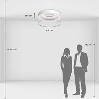 Припотолочная люстра De City Мадлен 424014401 - Превью изображения №12 — Интернет-магазин Time-Shop