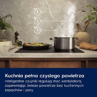 Кухонная вытяжка Electrolux LFG828K - Превью изображения №3 — Интернет-магазин Time-Shop
