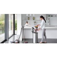 Пылесос Dyson Big Ball Multifloor 2+ - Превью изображения №5 — Интернет-магазин Time-Shop