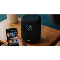 Беспроводная аудиосистема WiiM Sound (черный) - Превью изображения №8 — Интернет-магазин Time-Shop