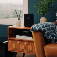 Беспроводная аудиосистема WiiM Sound (черный) - Превью изображения №7 — Интернет-магазин Time-Shop