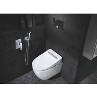 Гигиенический душ Rose R1605f - Превью изображения №3 — Интернет-магазин Time-Shop