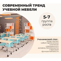 Ученический стол Sheffilton SHT-T-TN30 г5-7 (двухм. береза/алюминиевый металлик/голубой) - Превью изображения №11 — Интернет-магазин Time-Shop