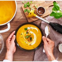 Погружной блендер Bosch ErgoMixx MS6CB61V1 - Превью изображения №5 — Интернет-магазин Time-Shop