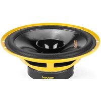 Широкополосная АС Swat SP-H6 - Превью изображения №3 — Интернет-магазин Time-Shop