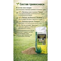 Семена АГРОСЕМСЕРВИС Солнечная поляна (10 кг) - Превью изображения №2 — Интернет-магазин Time-Shop