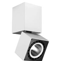 Mantra Columbretes C0088