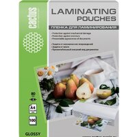 CACTUS глянцевая A4, 80 мкм, 100 л