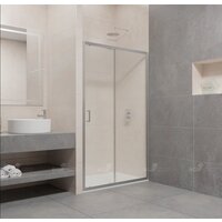 Душевая дверь RGW PA-14 41081416-11 160 (хром/прозрачное стекло) - Превью изображения №1 — Интернет-магазин Time-Shop