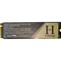 Horizont H-Storage 256GB HSA4300-256G