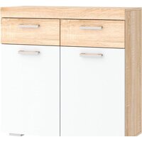 Памир Соната ТС-900 (дуб сонома/белый глянец)