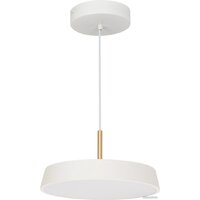 Arlight SP-ELEGANT-R300-17W Day4000 033919(1)