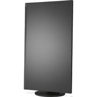 Монитор NEC MultiSync E243F (черный) - Превью изображения №12 — Интернет-магазин Time-Shop