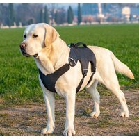 Шлея Ferplast Ergotrekking XL 75467152 (XL, черный) - Превью изображения №6 — Интернет-магазин Time-Shop