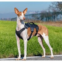 Шлея Ferplast Ergotrekking XL 75467152 (XL, черный) - Превью изображения №7 — Интернет-магазин Time-Shop