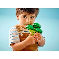 Конструктор LEGO Duplo 10982 Трактор для перевозки овощей и фруктов - Превью изображения №6 — Интернет-магазин Time-Shop