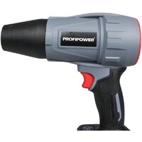  Profipower ProfiSet-2D20 (воздуходувка, цепная пила, 2 АКБ) - Превью изображения №17 — Интернет-магазин Time-Shop