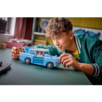 Конструктор LEGO Harry Potter 76470 Летающий Форд «Англия» - Превью изображения №10 — Интернет-магазин Time-Shop
