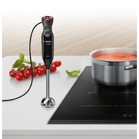 Погружной блендер Bosch MS62B6190 - Превью изображения №16 — Интернет-магазин Time-Shop