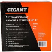 Насосная станция Gigant GP-17 - Превью изображения №23 — Интернет-магазин Time-Shop