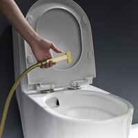 Гигиенический душ Ganzer GZ05157-S - Превью изображения №10 — Интернет-магазин Time-Shop