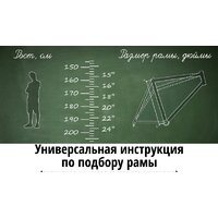 Велосипед Stels Pilot 810 26 Z010 2022 (красный) - Превью изображения №2 — Интернет-магазин Time-Shop