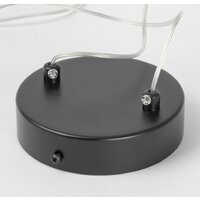 Подвесная люстра Lussole Lancaster LSP-7088 - Превью изображения №5 — Интернет-магазин Time-Shop