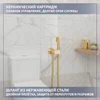 Гигиенический душ Lauter Neo 21LT0474GL - Превью изображения №2 — Интернет-магазин Time-Shop