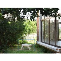 IP-камера TP-Link Tapo C460 - Превью изображения №16 — Интернет-магазин Time-Shop