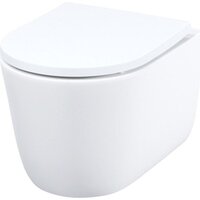 IDDIS Slide SLIRDSEi25