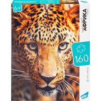 Пазл Dream Makers Африка RI1602C - Превью изображения №2 — Интернет-магазин Time-Shop