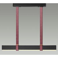 Подвесная люстра Odeon Light Vincent 6629/25L - Превью изображения №3 — Интернет-магазин Time-Shop