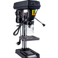 Gigant DP813