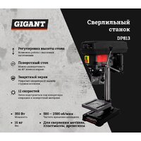 Сверлильный станок Gigant DP813 - Превью изображения №3 — Интернет-магазин Time-Shop