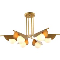 Favourite Kernel 2366-6P