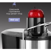 Соковыжималка Zigmund & Shtain EJ-757 - Превью изображения №5 — Интернет-магазин Time-Shop