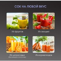 Соковыжималка Zigmund & Shtain EJ-757 - Превью изображения №9 — Интернет-магазин Time-Shop